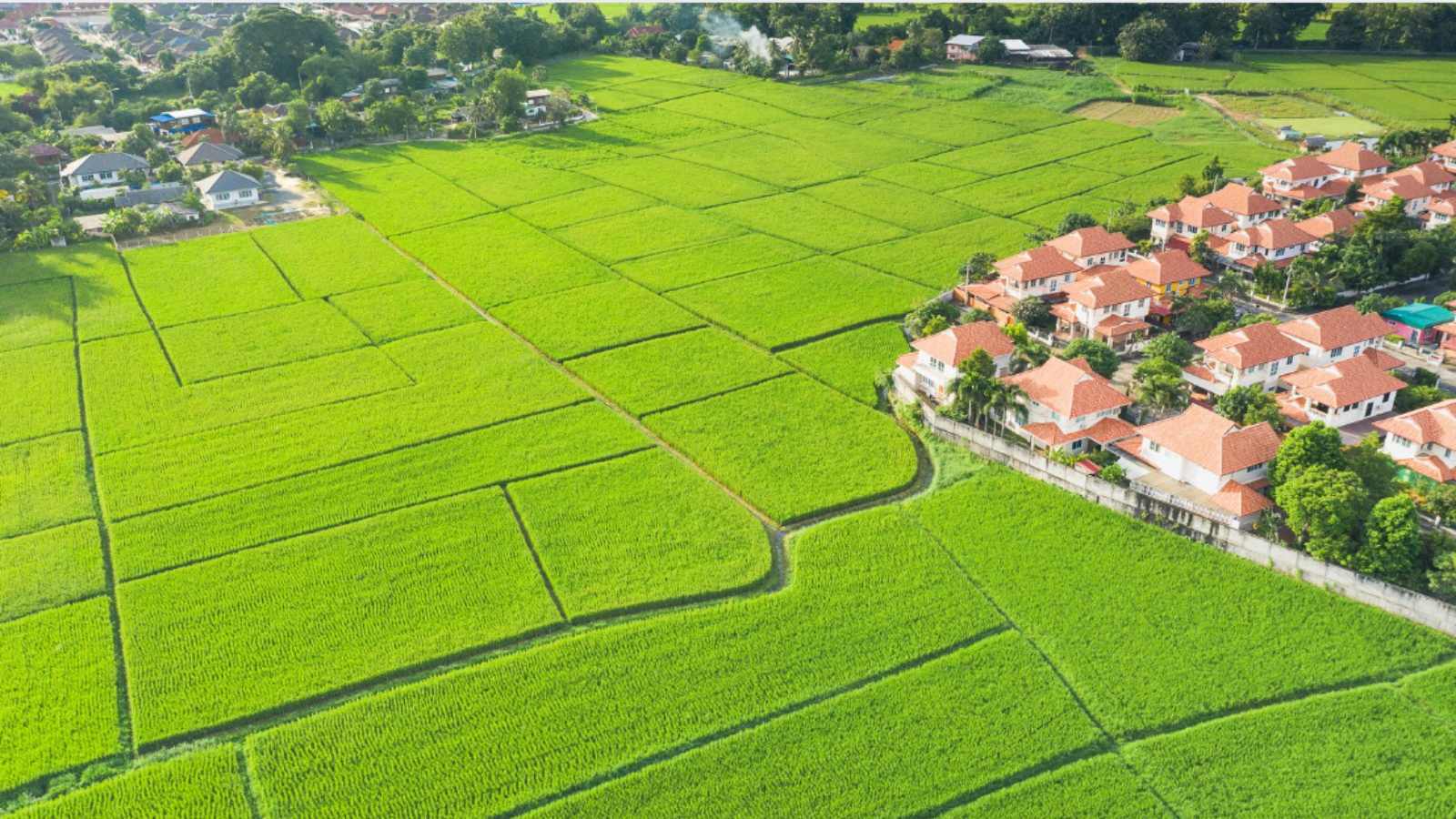 Best farmland developers in bengaluru
